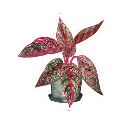 Pink Aglaonema Plant Stickers — Tropical Houseplant Laptop Decal