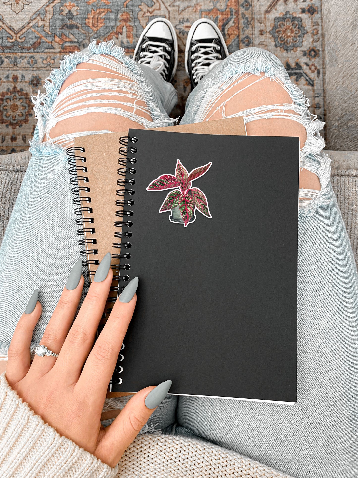 Pink Aglaonema Plant Stickers — Tropical Houseplant Laptop Decal