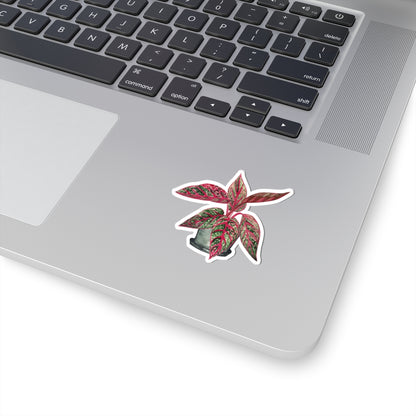 Pink Aglaonema Plant Stickers — Tropical Houseplant Laptop Decal