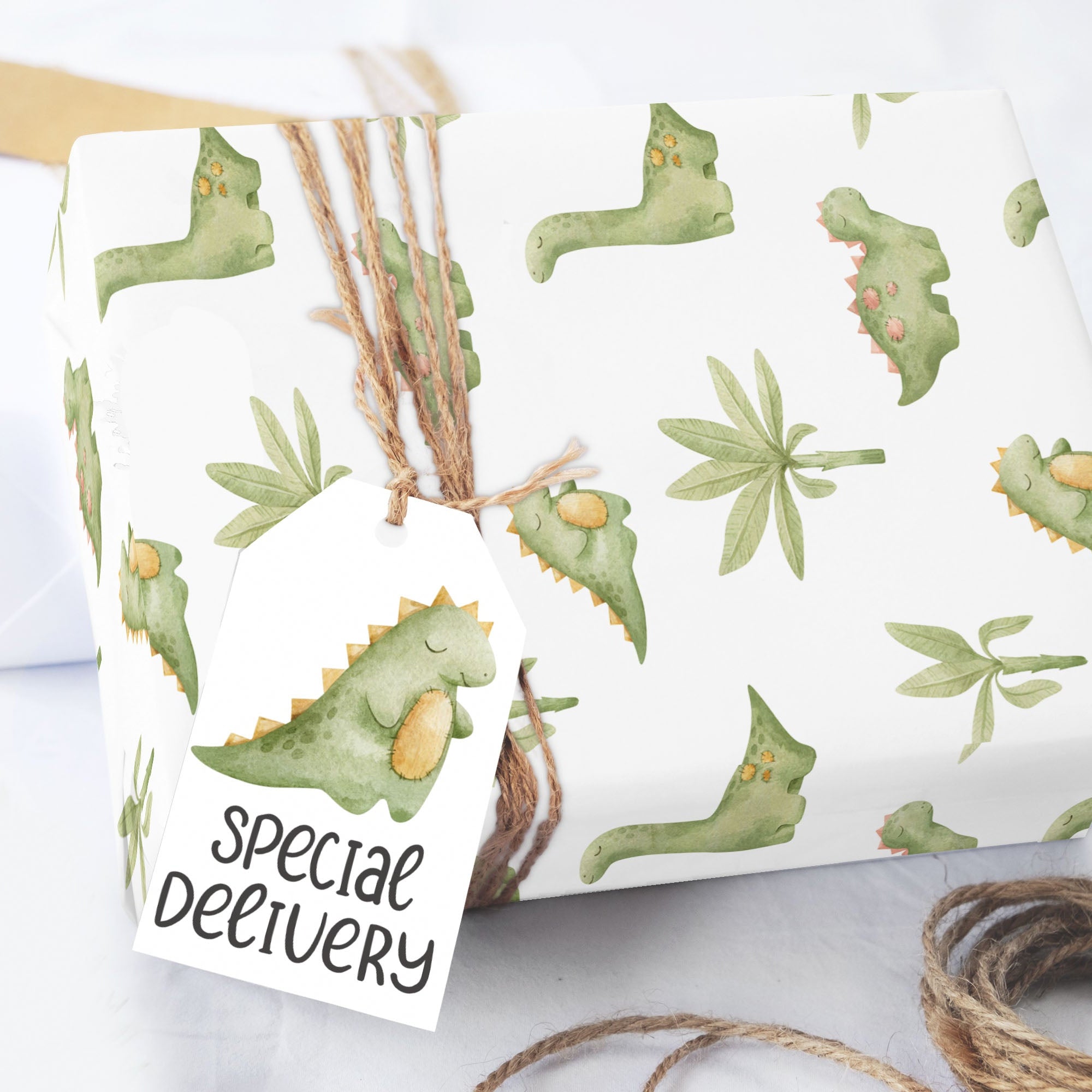 Baby Bear Hot Air Balloon Wrapping Paper Sheets