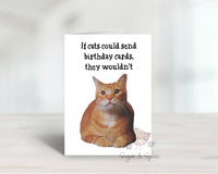 Funny Cat Birthday Folded Blank Greeting Card