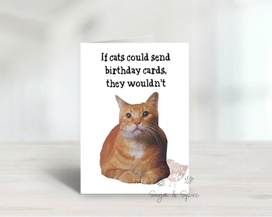 Funny Cat Birthday Folded Blank Greeting Card