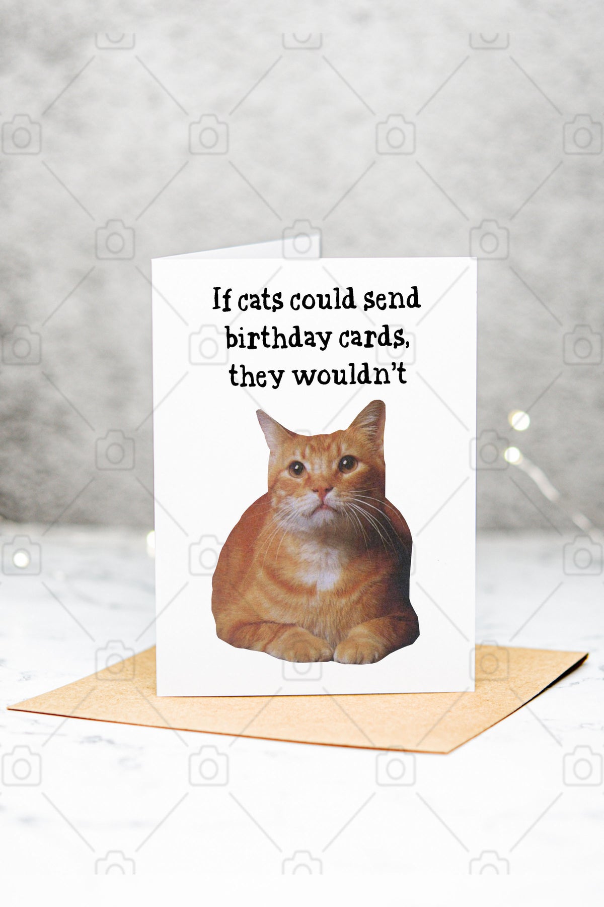 Funny Cat Birthday Folded Blank Greeting Card
