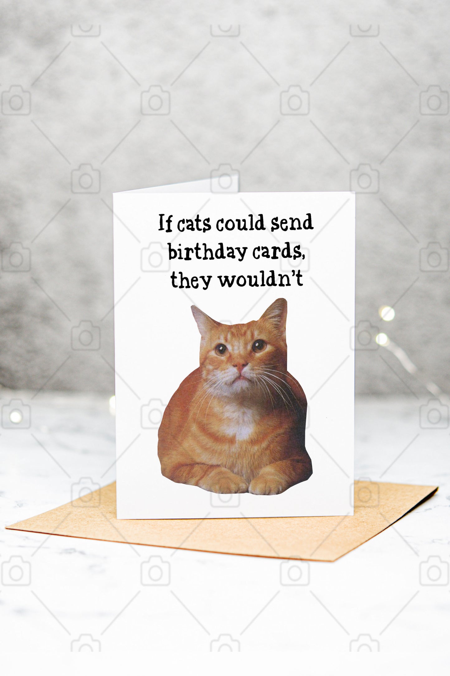 Funny Cat Birthday Folded Blank Greeting Card