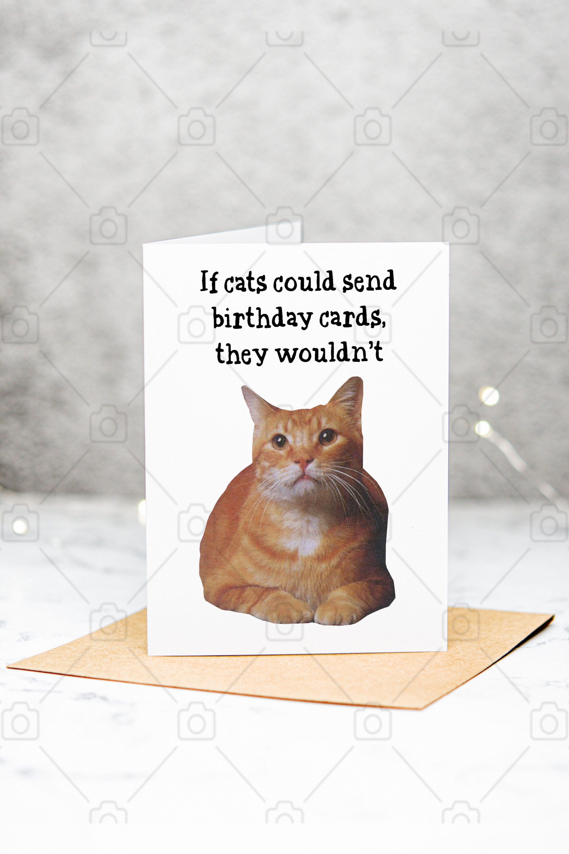 Funny Cat Birthday Folded Blank Greeting Card