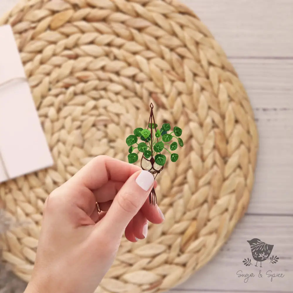 Clear Hanging House Plant Sticker - Premium  from Sugar and Spice Invitations - Just $3.50! Shop now at Sugar and Spice Paper