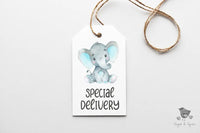Elephant Baby Shower Gift Tag - Premium Craft Supplies & Tools > Party & Gifting > Labels, Stickers & Tags > Tags from Sugar and Spice Invitations - Just $26! Shop now at Sugar and Spice Paper