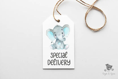 Elephant Baby Shower Gift Tag - Premium Craft Supplies & Tools > Party & Gifting > Labels, Stickers & Tags > Tags from Sugar and Spice Invitations - Just $26! Shop now at Sugar and Spice Paper
