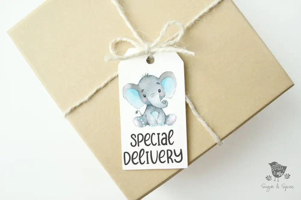 Elephant Baby Shower Gift Tag - Premium Craft Supplies & Tools > Party & Gifting > Labels, Stickers & Tags > Tags from Sugar and Spice Invitations - Just $26! Shop now at Sugar and Spice Paper