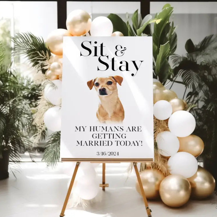 Minimalist Sit and Stay Pet Welcome Sign - Premium  from Sugar and Spice Invitations - Just $65! Shop now at Sugar and Spice Paper