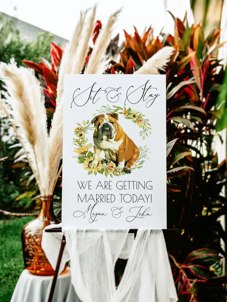 Sit and Stay Pet Sunflower Welcome Sign - Premium  from Sugar and Spice Invitations - Just $55! Shop now at Sugar and Spice Paper