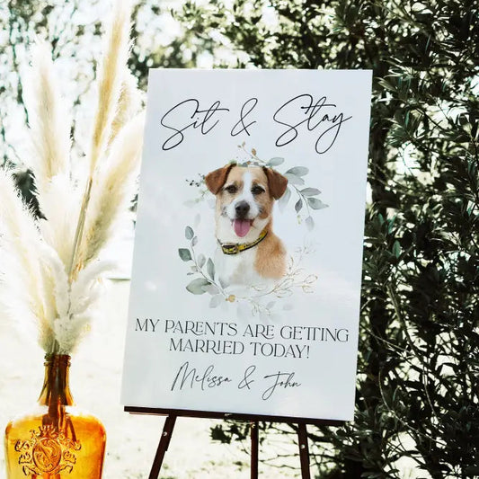 Sit and Stay Pet Welcome Sign - Premium  from Sugar and Spice Invitations - Just $35! Shop now at Sugar and Spice Paper
